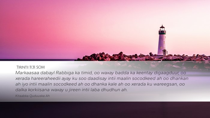 Tirintii 11:31 SOM Desktop Wallpaper - Markaasaa dabayl Rabbiga ka timid, oo waxay badda - Desktop Bible Verse Wallpaper