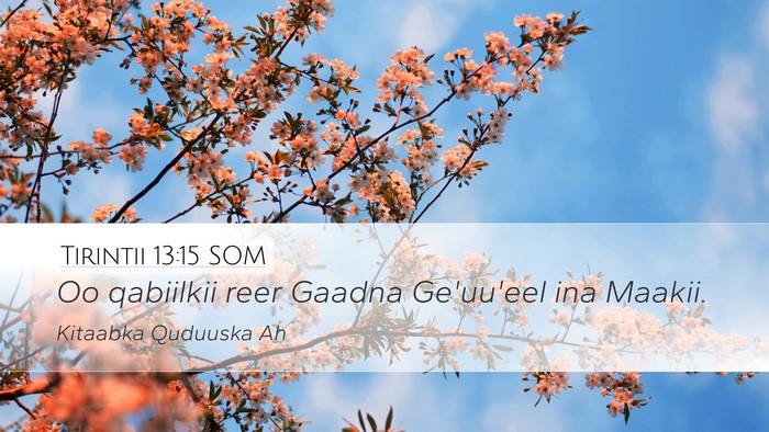 Tirintii 13:15 SOM Desktop Wallpaper - Oo qabiilkii reer Gaadna Ge'uu'eel ina - Desktop Bible Verse Wallpaper