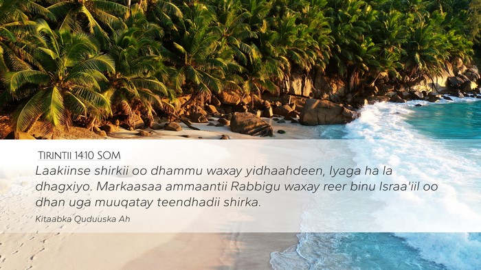 Tirintii 14:10 SOM Bible Verse Image