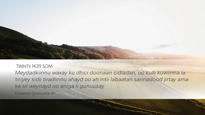 Tirintii 14:29 SOM Bible Verse Image