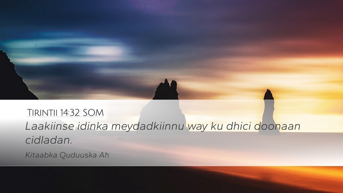 Tirintii 14:32 SOM Desktop Wallpaper - Laakiinse idinka meydadkiinnu way ku dhici - Desktop Bible Verse Wallpaper