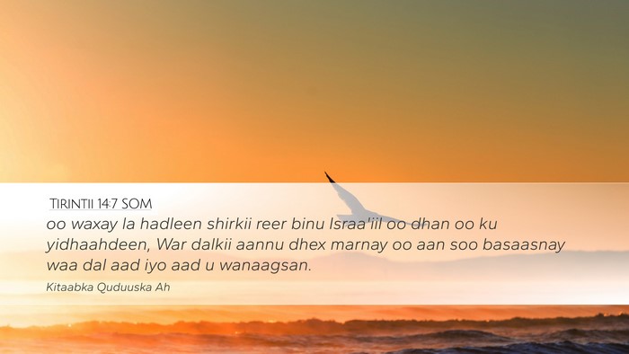 Tirintii 14:7 SOM Desktop Wallpaper - oo waxay la hadleen shirkii reer binu Israa'iil - Desktop Bible Verse Wallpaper