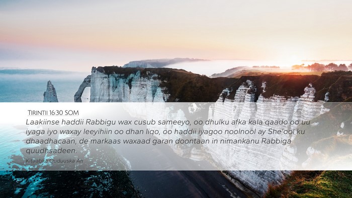 Tirintii 16:30 SOM Desktop Wallpaper - Laakiinse haddii Rabbigu wax cusub sameeyo, oo - Desktop Bible Verse Wallpaper