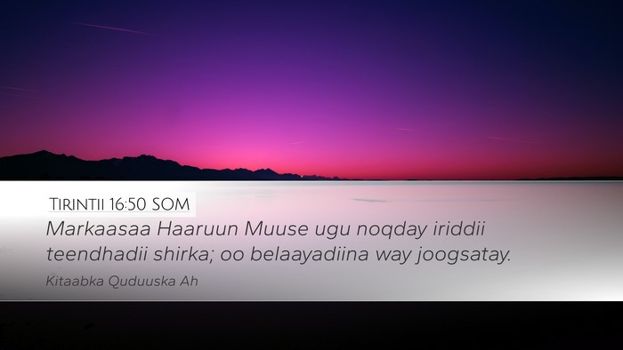 Tirintii 16:50 SOM Desktop Wallpaper - Markaasaa Haaruun Muuse ugu noqday iriddii - Desktop Bible Verse Wallpaper