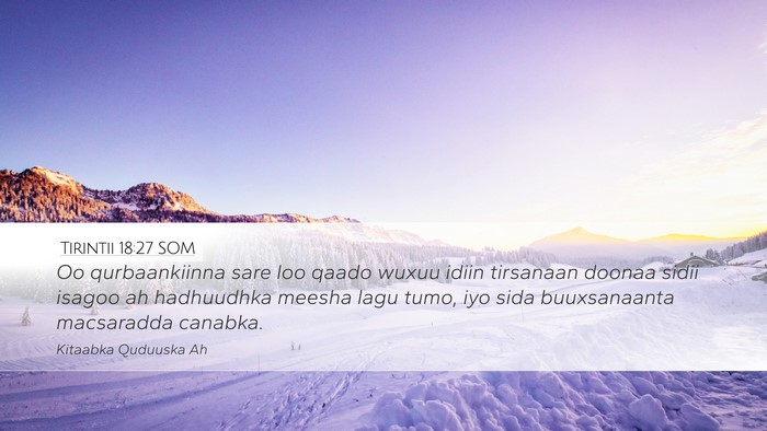 Tirintii 18:27 SOM Desktop Wallpaper - Oo qurbaankiinna sare loo qaado wuxuu idiin - Desktop Bible Verse Wallpaper
