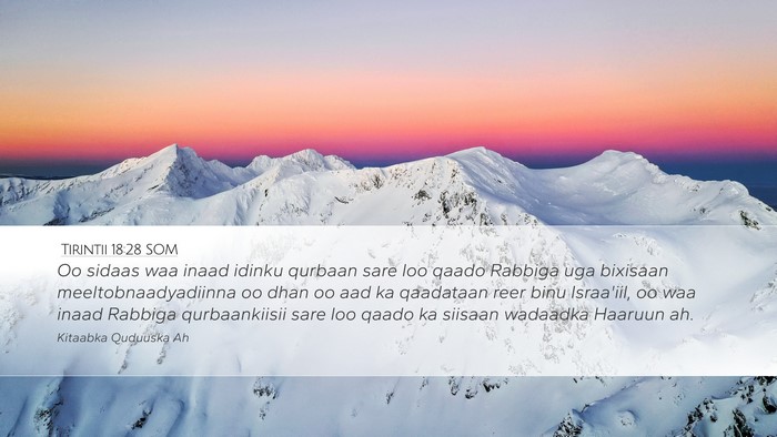 Tirintii 18:28 SOM Desktop Wallpaper - Oo sidaas waa inaad idinku qurbaan sare loo qaado - Desktop Bible Verse Wallpaper