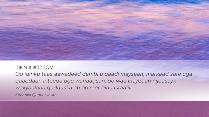 Tirintii 18:32 SOM Desktop Wallpaper - Oo idinku taas aawadeed dembi u qaadi maysaan, - Desktop Bible Verse Wallpaper