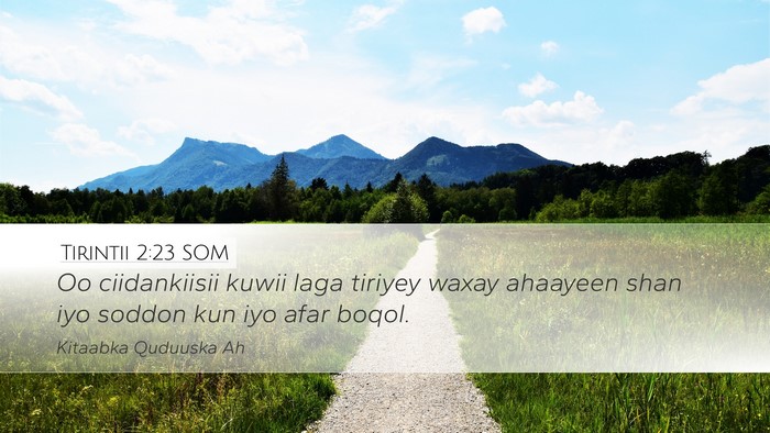 Tirintii 2:23 SOM Desktop Wallpaper - Oo ciidankiisii kuwii laga tiriyey waxay ahaayeen - Desktop Bible Verse Wallpaper