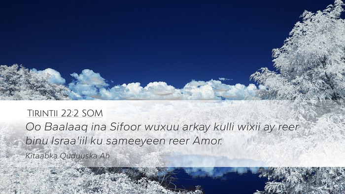 Tirintii 22:2 SOM Bible Verse Image