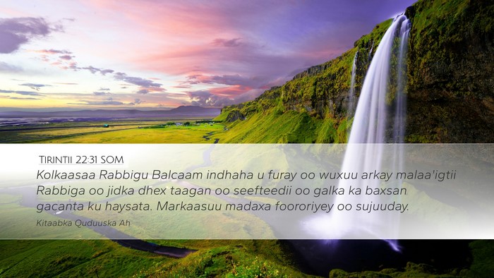 Tirintii 22:31 SOM Bible Verse Image