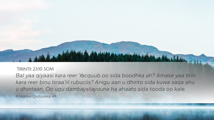 Tirintii 23:10 SOM Bible Verse Image