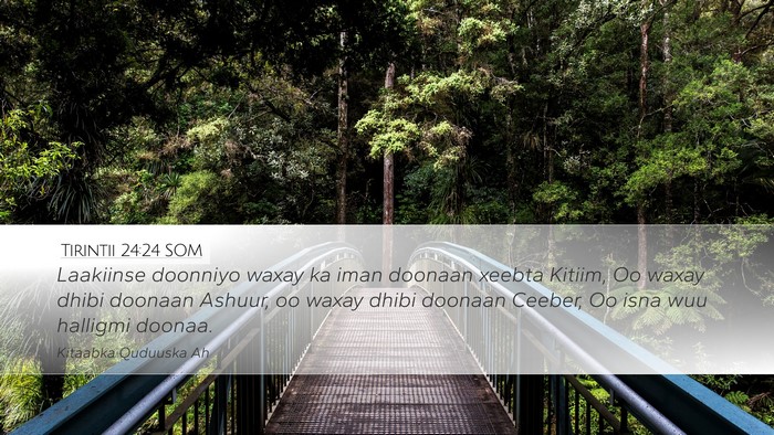 Tirintii 24:24 SOM Bible Verse Image