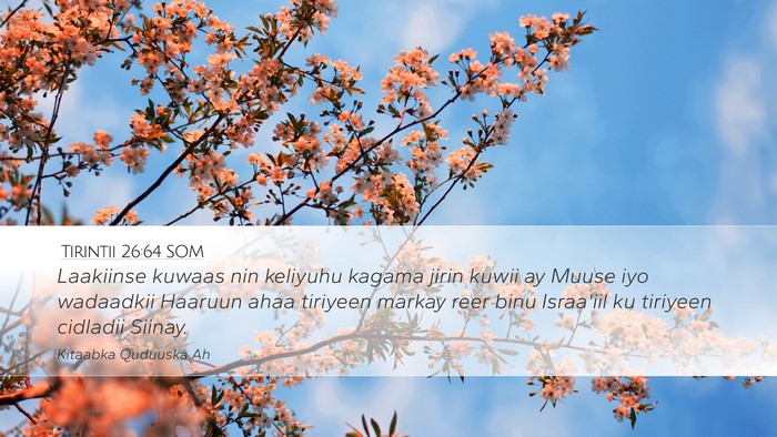 Tirintii 26:64 SOM Bible Verse Image
