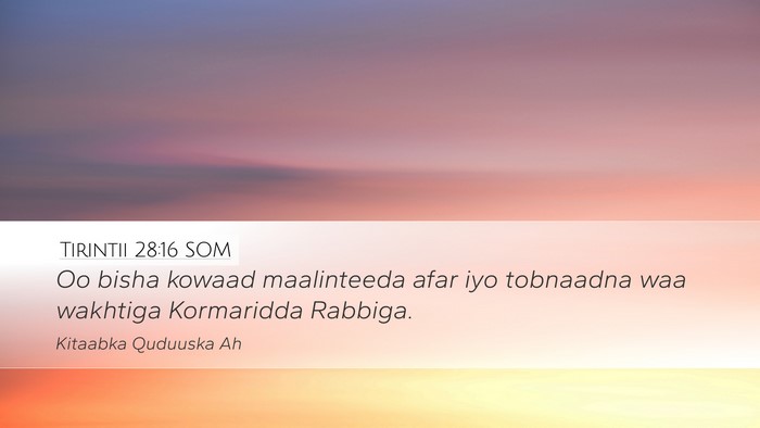 Tirintii 28:16 SOM Desktop Wallpaper - Oo bisha kowaad maalinteeda afar iyo tobnaadna - Desktop Bible Verse Wallpaper