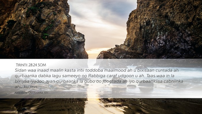 Tirintii 28:24 SOM Desktop Wallpaper - Sidan waa inaad maalin kasta intii toddoba - Desktop Bible Verse Wallpaper