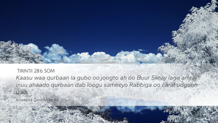 Tirintii 28:6 SOM Desktop Wallpaper - Kaasu waa qurbaan la gubo oo joogto ah oo Buur - Desktop Bible Verse Wallpaper