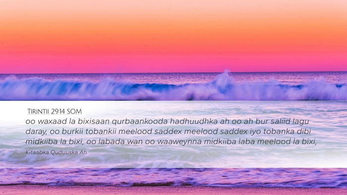 Tirintii 29:14 SOM Desktop Wallpaper - oo waxaad la bixisaan qurbaankooda hadhuudhka ah - Desktop Bible Verse Wallpaper