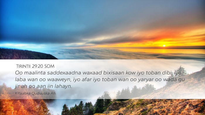 Tirintii 29:20 SOM Desktop Wallpaper - Oo maalinta saddexaadna waxaad bixisaan kow iyo - Desktop Bible Verse Wallpaper