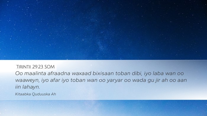 Tirintii 29:23 SOM Desktop Wallpaper - Oo maalinta afraadna waxaad bixisaan toban dibi, - Desktop Bible Verse Wallpaper