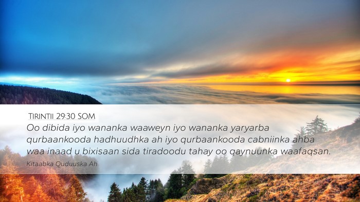 Tirintii 29:30 SOM Desktop Wallpaper - Oo dibida iyo wananka waaweyn iyo wananka - Desktop Bible Verse Wallpaper