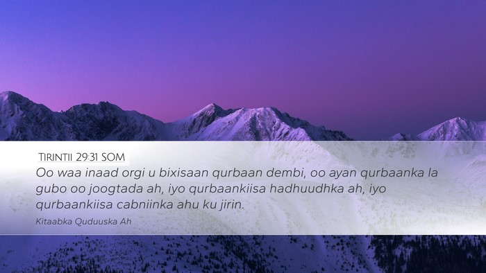Tirintii 29:31 SOM Bible Verse Image