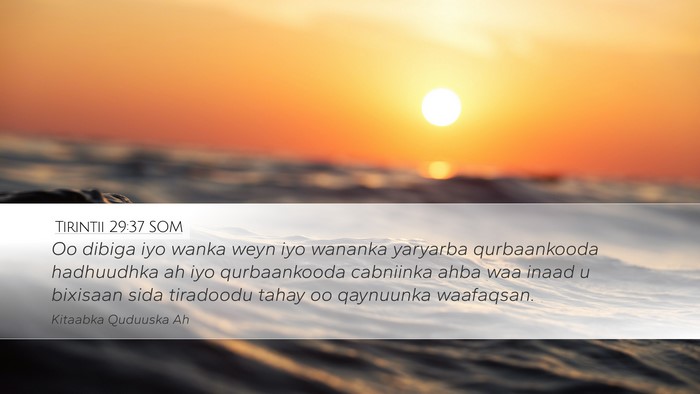 Tirintii 29:37 SOM Desktop Wallpaper - Oo dibiga iyo wanka weyn iyo wananka yaryarba - Desktop Bible Verse Wallpaper