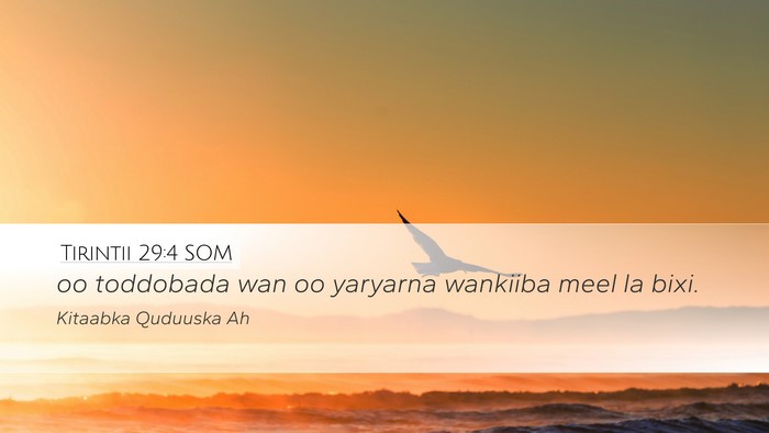 Tirintii 29:4 SOM Desktop Wallpaper - oo toddobada wan oo yaryarna wankiiba meel la - Desktop Bible Verse Wallpaper