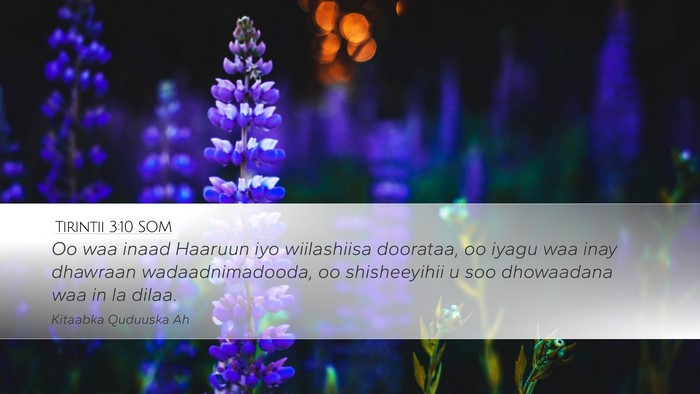Tirintii 3:10 SOM Bible Verse Image