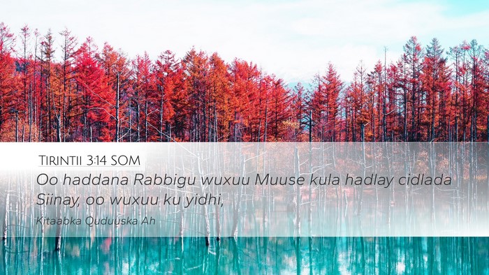 Tirintii 3:14 SOM Desktop Wallpaper - Oo haddana Rabbigu wuxuu Muuse kula hadlay - Desktop Bible Verse Wallpaper