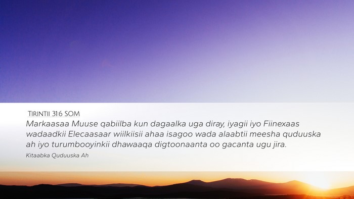 Tirintii 31:6 SOM Bible Verse Image