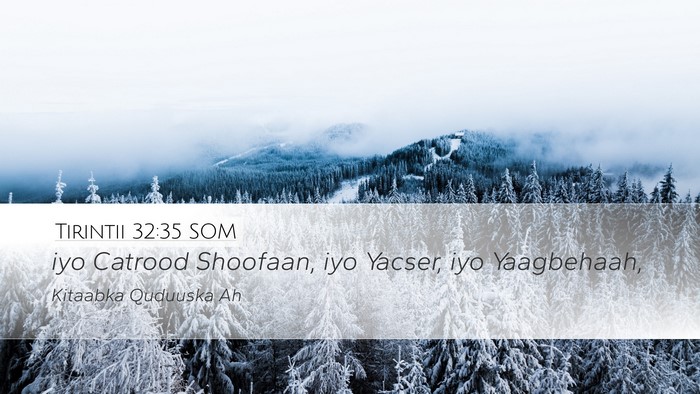 Tirintii 32:35 SOM Bible Verse Image