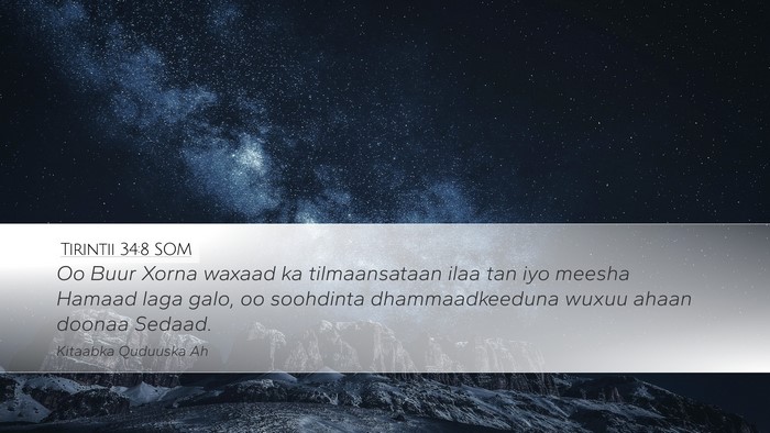 Tirintii 34:8 SOM Bible Verse Image
