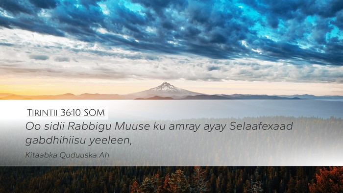 Tirintii 36:10 SOM Desktop Wallpaper - Oo sidii Rabbigu Muuse ku amray ayay Selaafexaad - Desktop Bible Verse Wallpaper