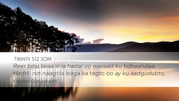 Tirintii 5:12 SOM Bible Verse Image