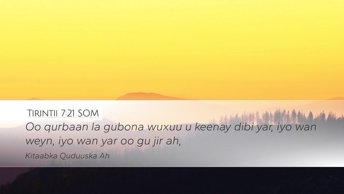 Tirintii 7:21 SOM Desktop Wallpaper - Oo qurbaan la gubona wuxuu u keenay dibi yar, iyo - Desktop Bible Verse Wallpaper
