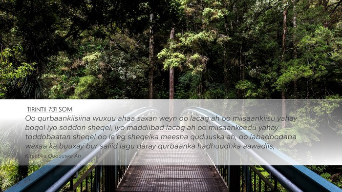 Tirintii 7:31 SOM Desktop Wallpaper - Oo qurbaankiisiina wuxuu ahaa saxan weyn oo lacag - Desktop Bible Verse Wallpaper