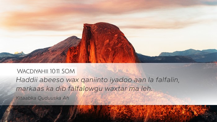 Wacdiyahii 10:11 SOM Bible Verse Image