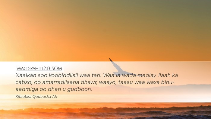 Wacdiyahii 12:13 SOM Bible Verse Image