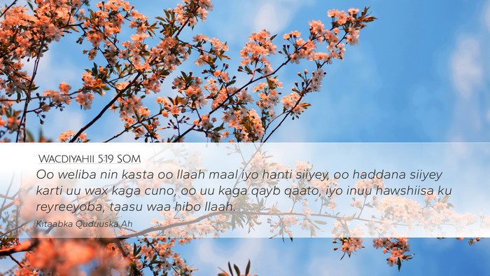 Wacdiyahii 5:19 SOM Bible Verse Image