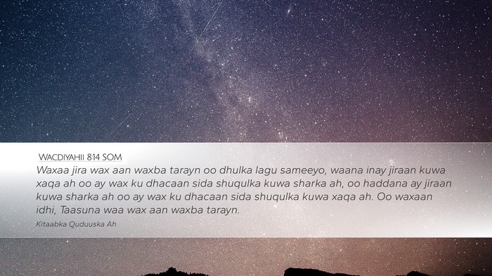 Wacdiyahii 8:14 SOM Desktop Wallpaper - Waxaa jira wax aan waxba tarayn oo dhulka lagu - Desktop Bible Verse Wallpaper