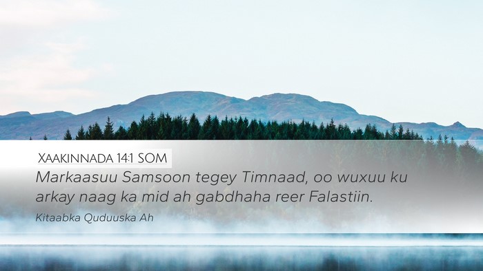 Xaakinnada 14:1 SOM Bible Verse Image