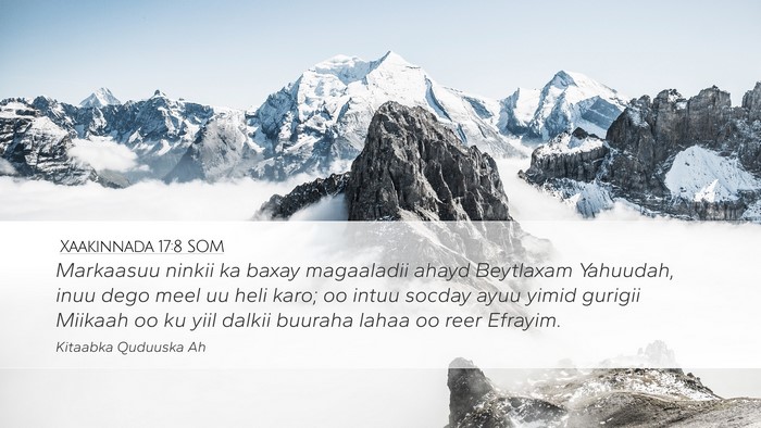 Xaakinnada 17:8 SOM Bible Verse Image