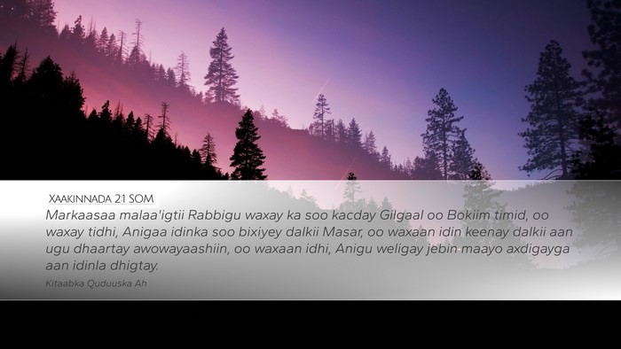 Xaakinnada 2:1 SOM Bible Verse Image