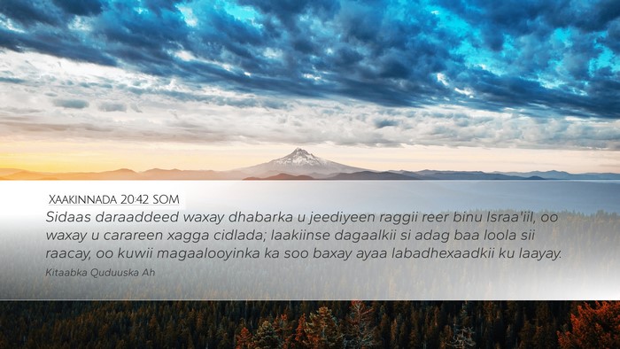 Xaakinnada 20:42 SOM Bible Verse Image