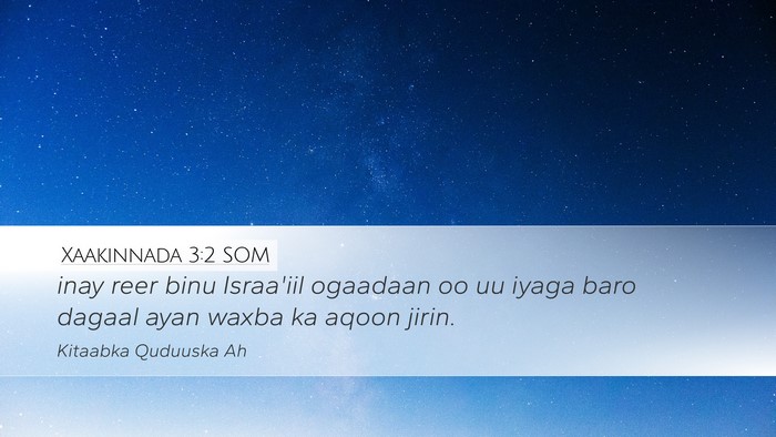 Xaakinnada 3:2 SOM Desktop Wallpaper - inay reer binu Israa'iil ogaadaan oo uu iyaga - Desktop Bible Verse Wallpaper