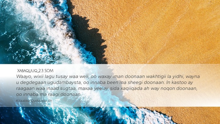Xabaquuq 2:3 SOM Bible Verse Image