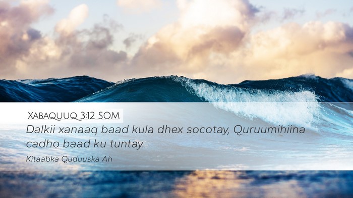 Xabaquuq 3:12 SOM Bible Verse Image