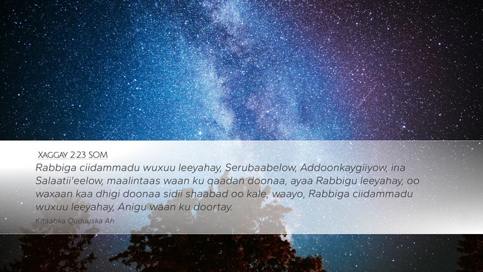 Xaggay 2:23 SOM Bible Verse Image