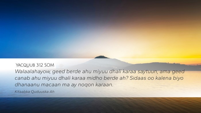 Yacquub 3:12 SOM Bible Verse Image