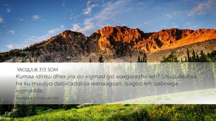 Yacquub 3:13 SOM Bible Verse Image